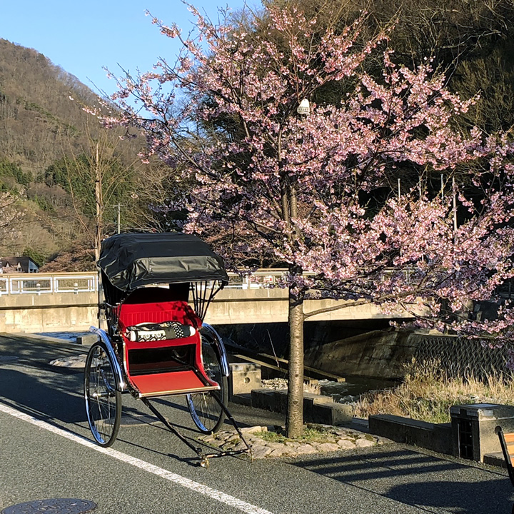 人力車｜観光人力車