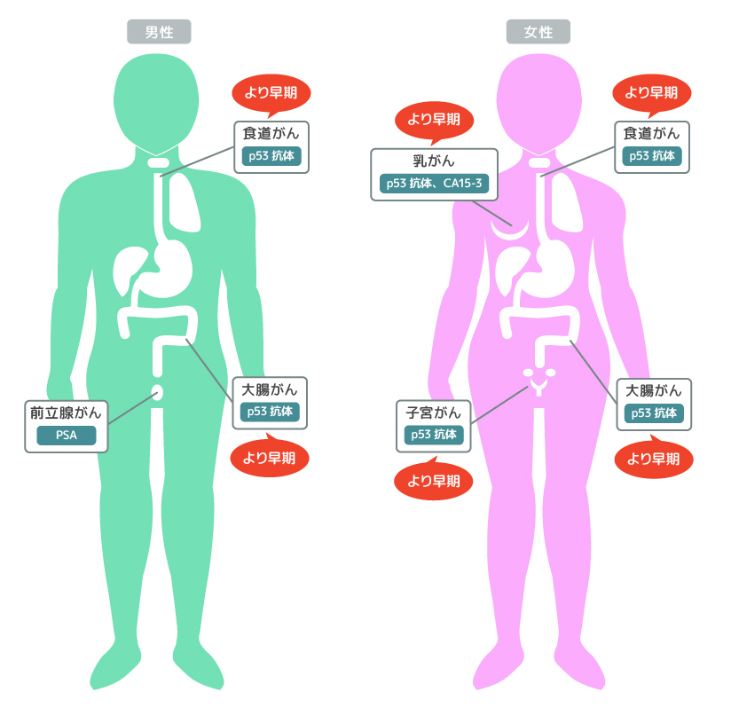 おうちでドックで使われている腫瘍マーカーの種類と、チェックする部位